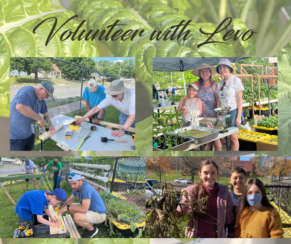 Volunteer with Levo